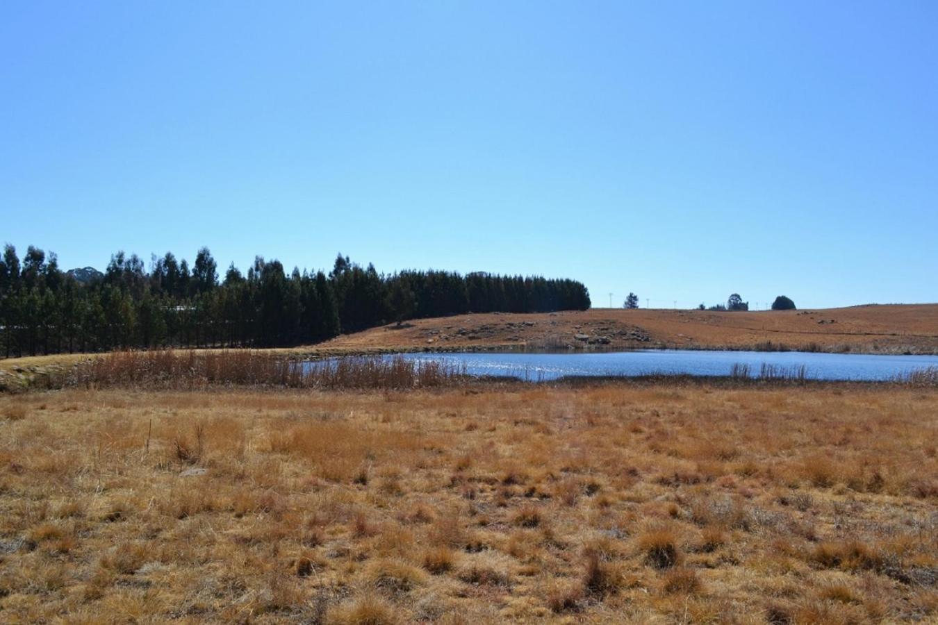 דלסטרום Dabchick Cottage מראה חיצוני תמונה