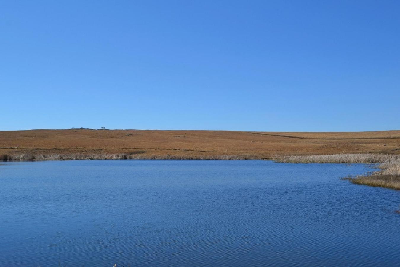 דלסטרום Dabchick Cottage מראה חיצוני תמונה