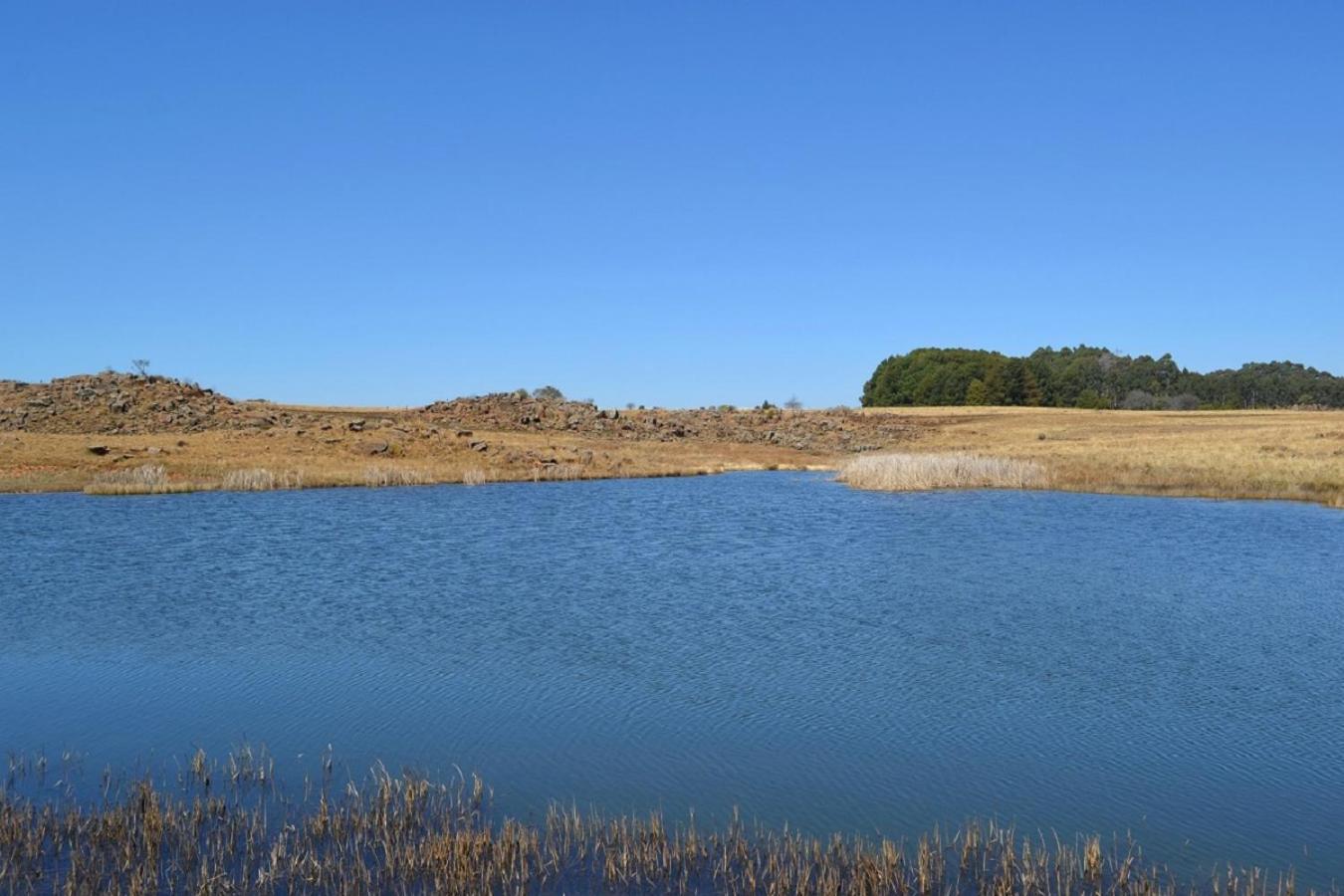 דלסטרום Dabchick Cottage מראה חיצוני תמונה