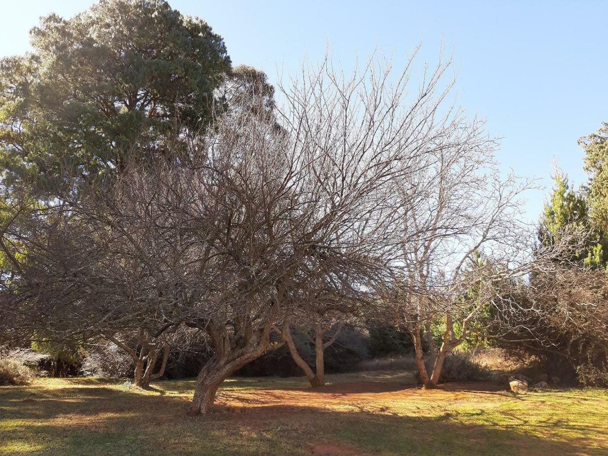 דלסטרום Dabchick Cottage מראה חיצוני תמונה