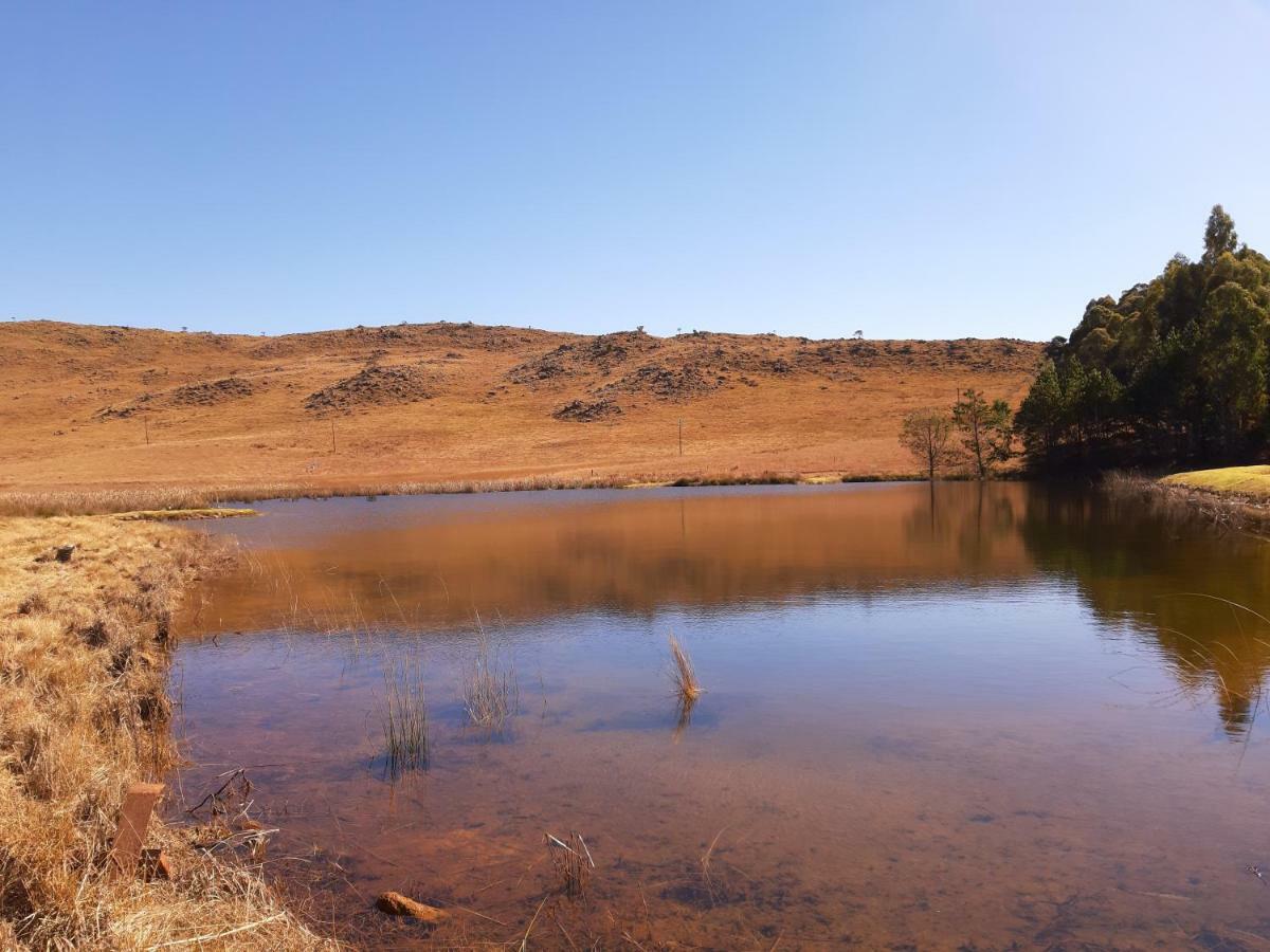 דלסטרום Dabchick Cottage מראה חיצוני תמונה